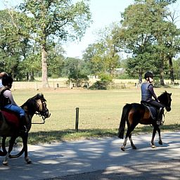 Camping Dal van de Mosbeek
