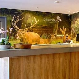 Vakantiepark de Bosrand