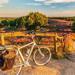 Vakantiepark de Bosrand