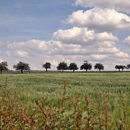 Camping La Dolce Vita