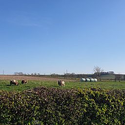 Camping La Dolce Vita