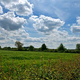 Camping La Dolce Vita
