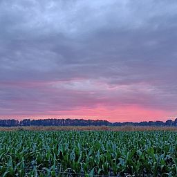 Boerderijcamping het Katreel