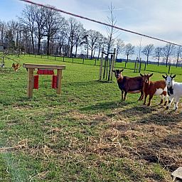 Boerderijcamping het Katreel