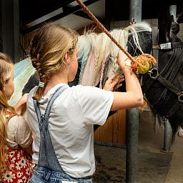 FarmCamps Holzik Stables