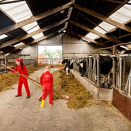 FarmCamps Op de Beemd