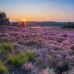 Landgoed De Hellendoornse Berg