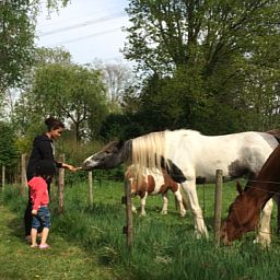 Camping de Peelweide