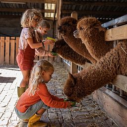 FarmCamps De Smulhoeve