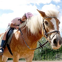 FarmCamps De Smulhoeve