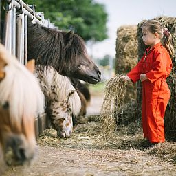 FarmCamps De Smulhoeve