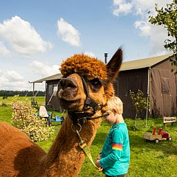 BoerenBed Hoeve de Betuwe