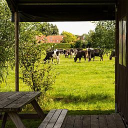 BoerenBed Hoeve de Betuwe