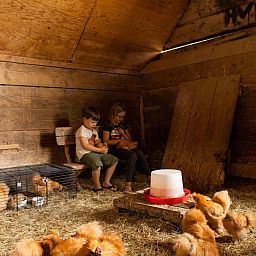 BoerenBed Landgoed Volenbeek