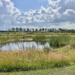 Camping de Heerlijkheid Vorenseinde