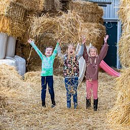 FarmCamps De Bonte Fries