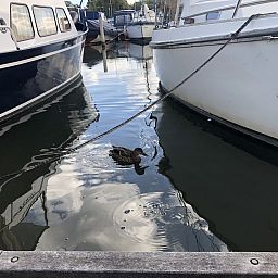 Marina Parcs Amsterdam