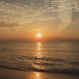 Roompot ECO Grevelingenstrand