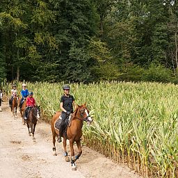 FarmCamps De Verloren Kost