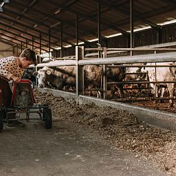 BoerenBed Hoeve De Pippert in de Betuwe