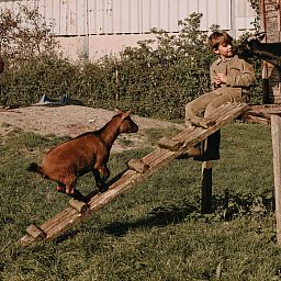 BoerenBed Hoeve De Pippert in de Betuwe