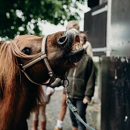 BoerenBed TaarTenTuin