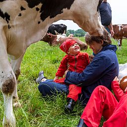 FarmCamps Den Branderhorst