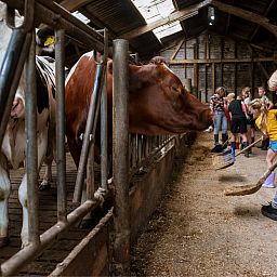 FarmCamps Den Branderhorst