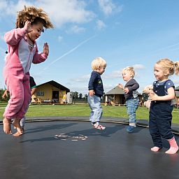 FarmCamps Alpaca Vorstenbosch