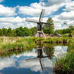 Landal Sallandse Heuvelrug