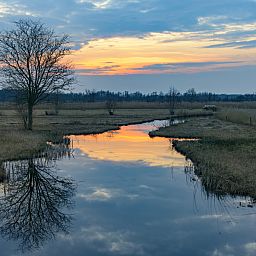 CharmeCamping De Regge-Vallei