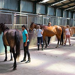 FarmCamps Fleur Stables