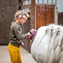 FarmCamps Fleur Stables