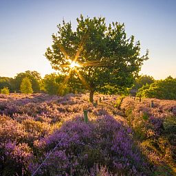Landal Hunerwold State