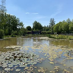 Vakantiepark 't Rheezerwold