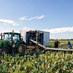 BoerenBed Hoeve Zeeland