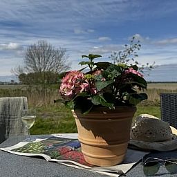Hotelhuisjes Medemblik