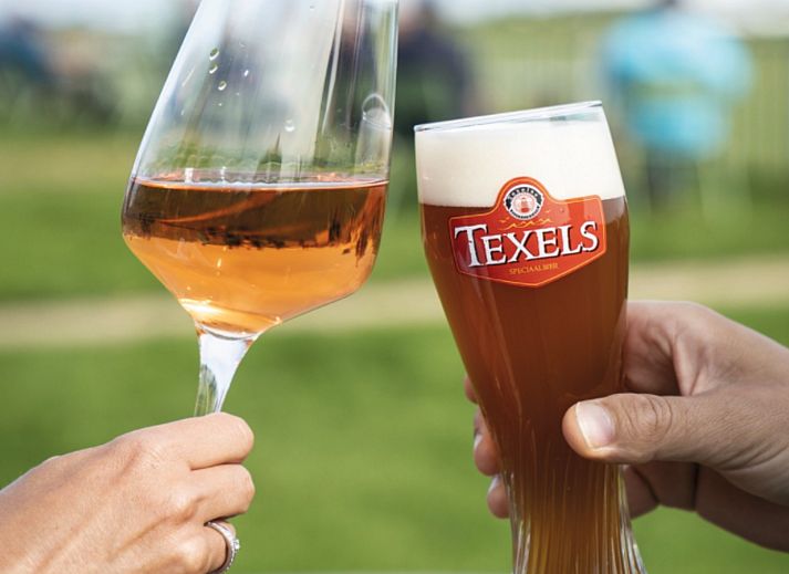 Guest house 010106 - Holiday property Texel - De Vlijt - Business class