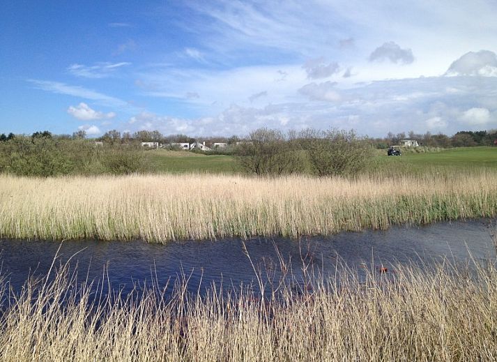 Zonnig terras met parasol bij bungalow Ons Eilandgevoel in De Cocksdorp, Texel, perfect voor ontspanning.