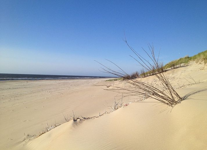 Gezellige woonkamer van Ons Eilandgevoel in De Cocksdorp, Texel, met comfortabele zitruimte.