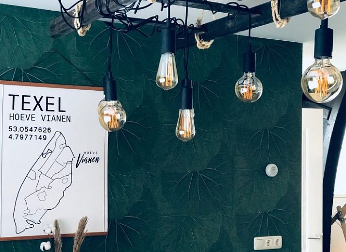 Aussenansicht von Unique 10 pers. Bauernhof Lodge De Slufter auf 'Hoeve Vianen' in De Cocksdorp, Texel, mit gruener Natur.