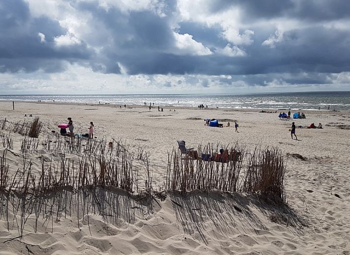 Unterkunft 01011038 - Ferienhaus Texel - Ferien-Perle