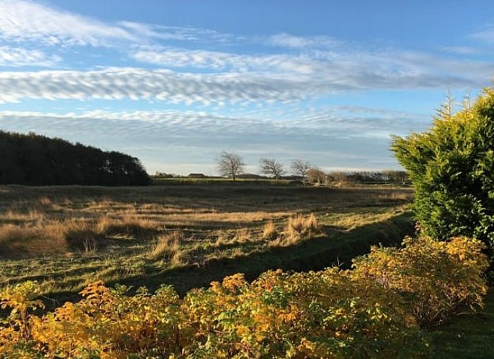 Unterkunft 01011038 - Ferienhaus Texel - Ferien-Perle