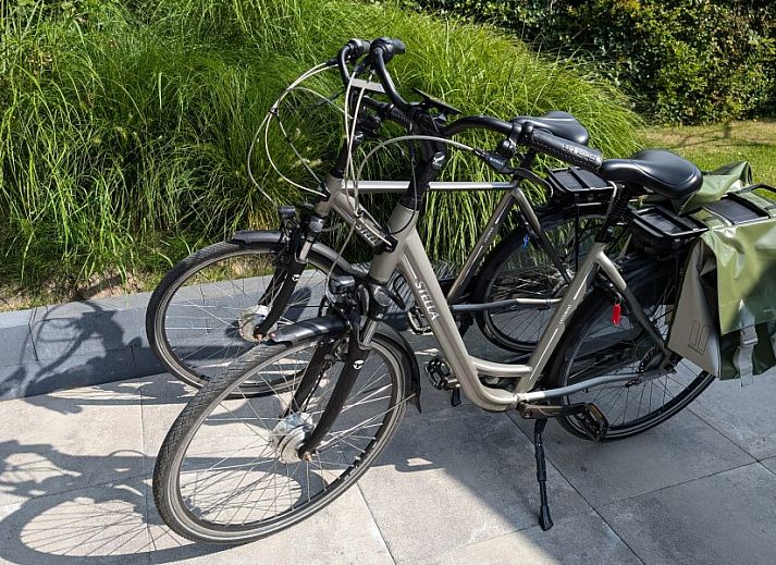 Ingang van Chalet 114 in De Cocksdorp, Texel, met een uitnodigend terras en groene omgeving op de Waddeneilanden.