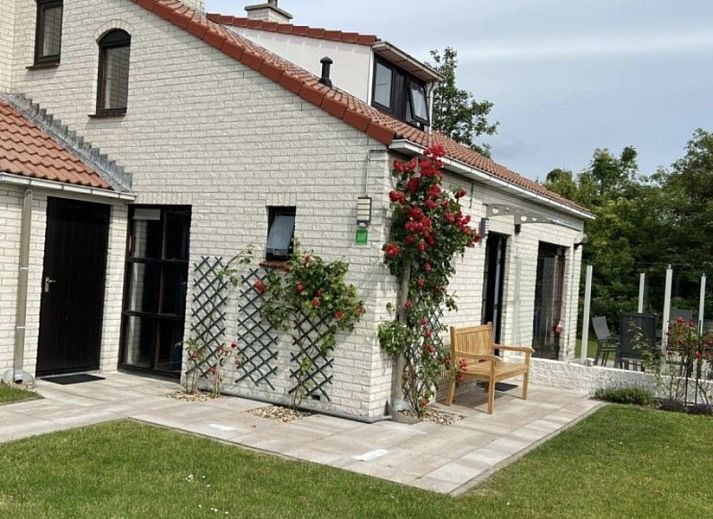 Ferienperle vacation home with flowering tree in De Cocksdorp, Texel, Wadden Islands.