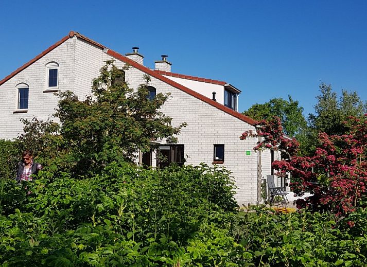 Wooden garden house at Ferienperle vacation home in De Cocksdorp, Texel, Wadden Islands.
