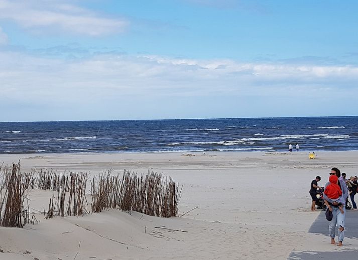 Wooden garden house at Ferienperle vacation home in De Cocksdorp, Texel, Wadden Islands.