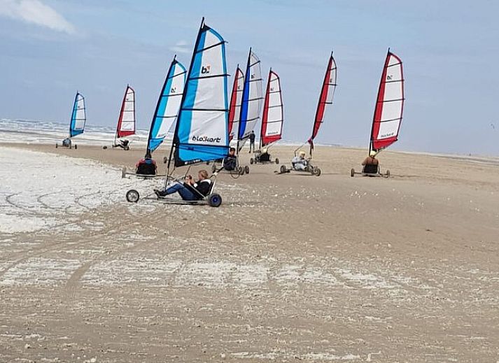 Side view of Ferienperle vacation home in De Cocksdorp, Texel, with blooming nature.