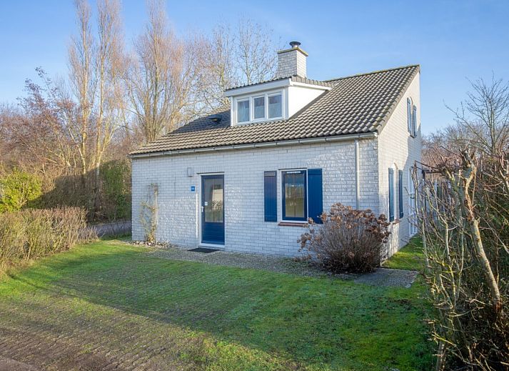 Ferienhaus Roggeslootweg Nr. 656 in De Cocksdorp, Texel, umgeben von gruener Natur und rustikalem Charme auf den Watteninseln.