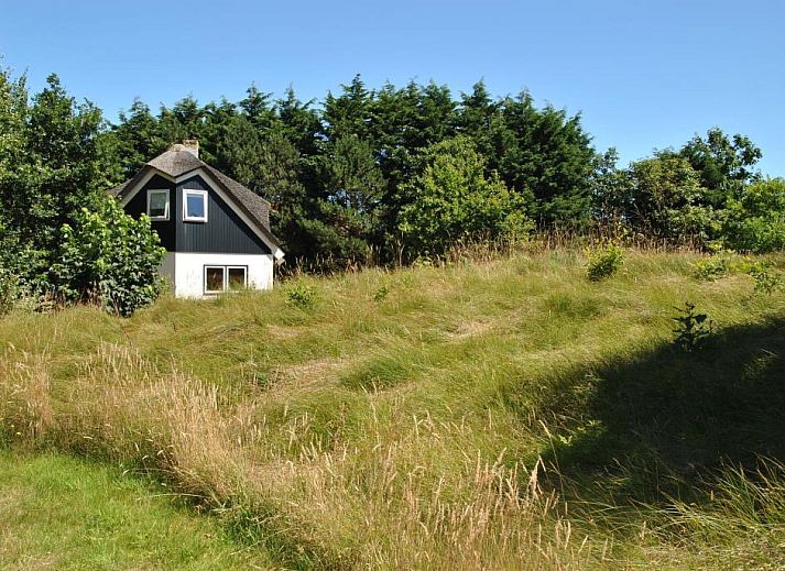 Ferienhaus Velduil in De Cocksdorp Texel, umgeben von gruener Natur und Ruhe.